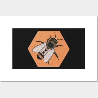 Honey Bee Posters and Art